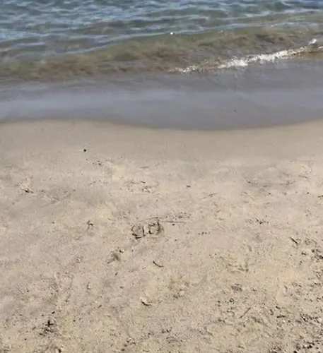 Appartement Tesoro Di